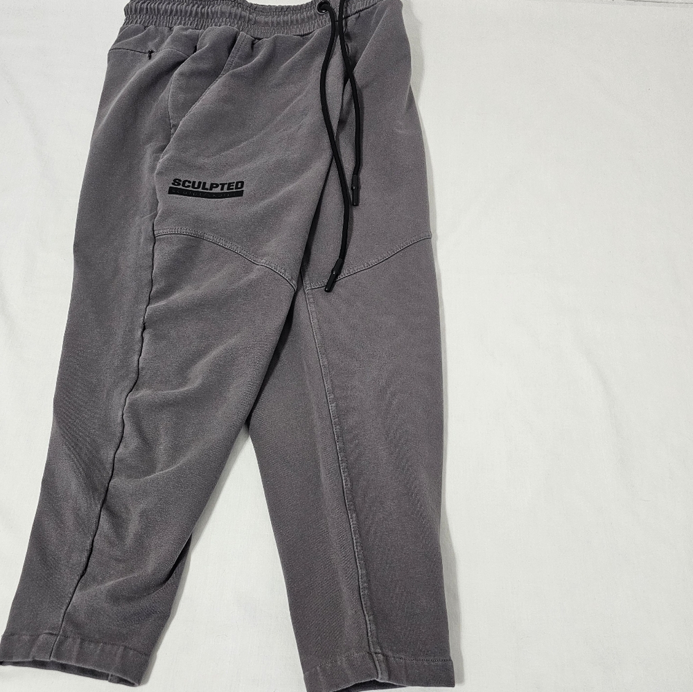 SCULPTED Men's Training Apparel Gray Cropped Jogger Sweatpants Small